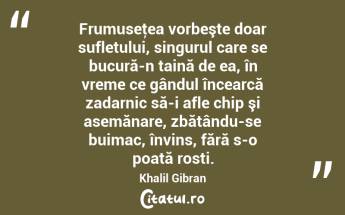  Frumuseţea vorbeşte doar sufletului, singurul care se bucură-n taină de ea, în vreme ce gândul încearcă zadarnic să-i afle chip şi asemănare, zbătându-se buimac, învins, fără s-o poată rosti. Khalil Gibran...