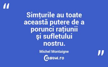 Simţurile au toate această putere de a porunci raţiunii şi sufletului nostru. Michel Montaigne...