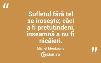 Sufletul fără ţel se iroseşte; căci a fi pretutindeni, înseamnă a nu fi nicăieri. Michel Montaigne...