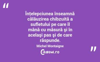 Înţelepciunea înseamnă călăuzirea chibzuită a sufletului pe care îl mână cu măsură şi în acelaşi pas şi de care răspunde. Michel Montaigne...