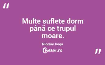Multe suflete dorm până ce trupul moare. Nicolae Iorga...