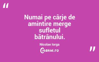 Numai pe cârje de amintire merge sufletul bătrânului. Nicolae Iorga...