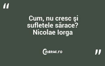  Cum, nu cresc şi sufletele sărace? Nicolae Iorga...