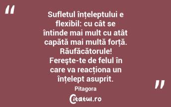 Sufletul înţeleptului e flexibil: cu cât se întinde mai mult cu atât capătă mai multă forţă. Răufăcătorule! Fereşte-te de felul în care va reacţiona un înţelept asuprit. Pitagora...