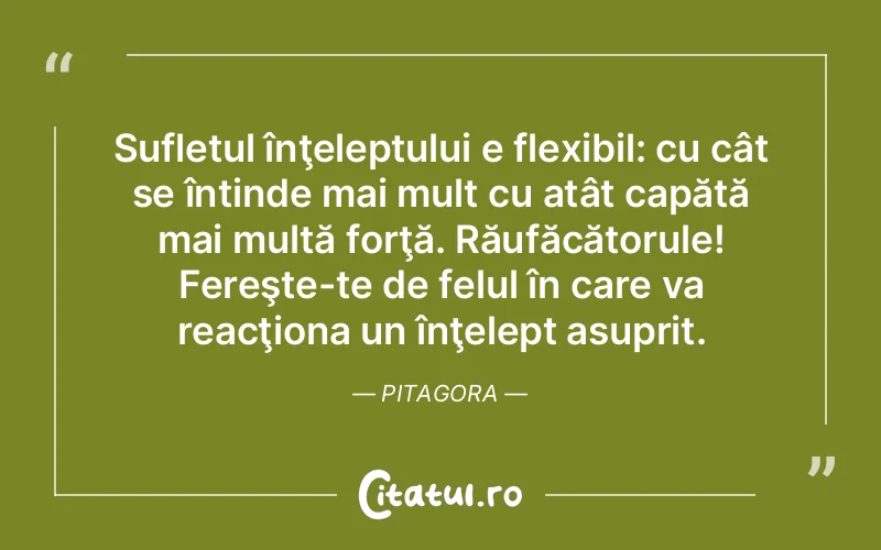 Sufletul înţeleptului e flexibil: cu cât se întinde mai mult cu atât capătă mai multă forţă. Răufăcătorule! Fereşte-te de felul în care va reacţiona un înţelept asuprit. Pitagora