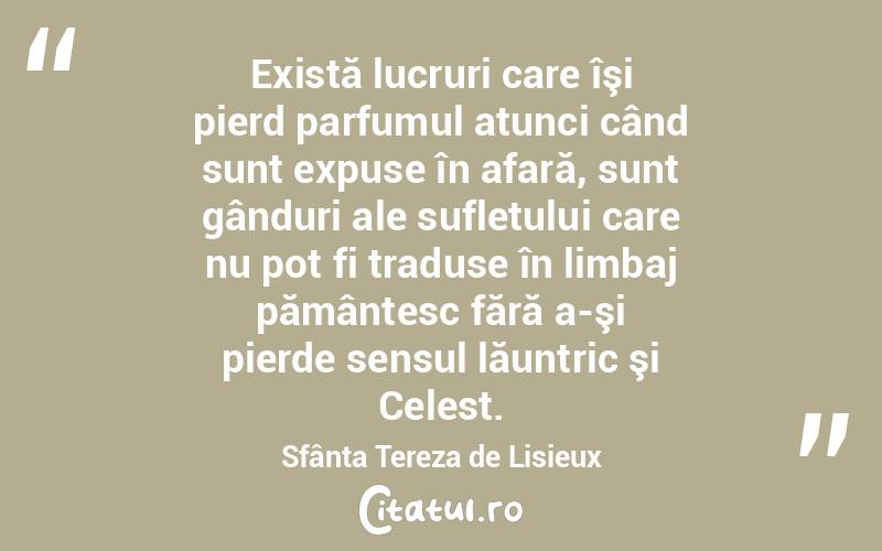 Există lucruri care îşi pierd parfumul atunci când sunt expuse în afară, sunt gânduri ale sufletului care nu pot fi traduse în limbaj pământesc fără a-şi pierde sensul lăuntric şi Celest. Sfânta Tereza de Lisieux
