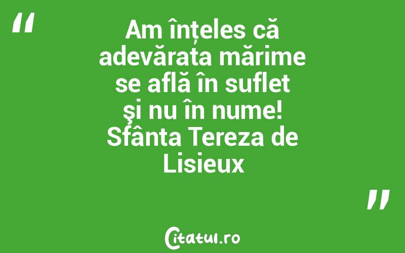 Am înţeles că adevărata mărime se află în suflet şi nu în nume! Sfânta Tereza de Lisieux
