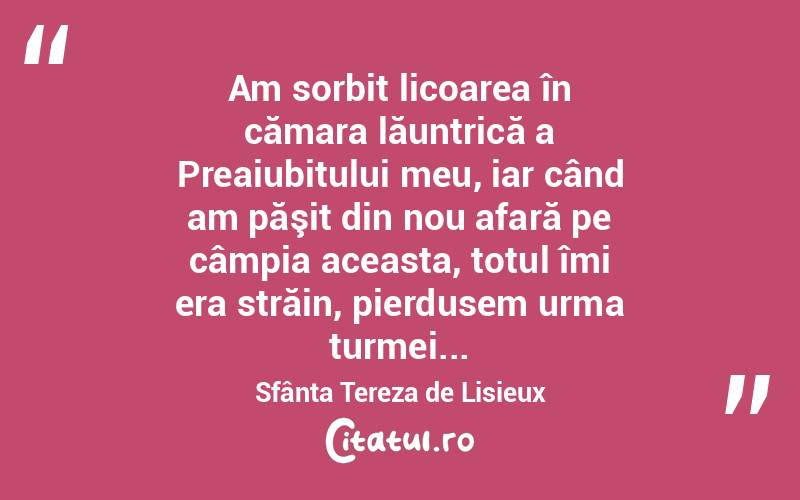 Am sorbit licoarea în cămara lăuntrică a Preaiubitului meu, iar când am păşit din nou afară pe câmpia aceasta, totul îmi era străin, pierdusem urma turmei... Sfânta Tereza de Lisieux
