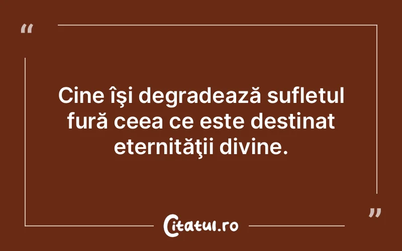 Cine îşi degradează sufletul fură ceea ce este destinat eternităţii divine.