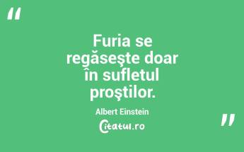 Furia se regăseşte doar în sufletul proştilor. Albert Einstein...