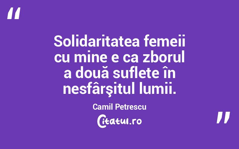 Solidaritatea femeii cu mine e ca zborul a două suflete în nesfârşitul lumii. Camil Petrescu
