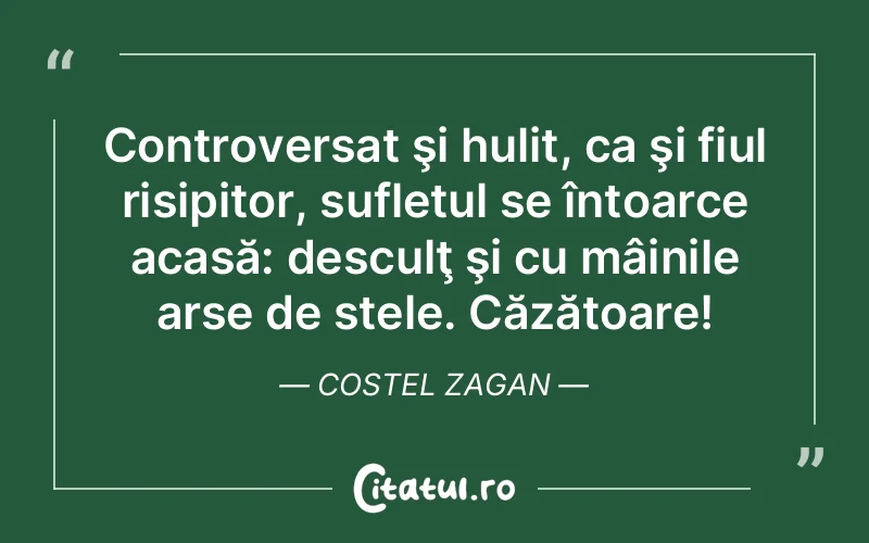 Controversat şi hulit, ca şi fiul risipitor, sufletul se întoarce acasă: desculţ şi cu mâinile arse de stele. Căzătoare! Costel Zagan