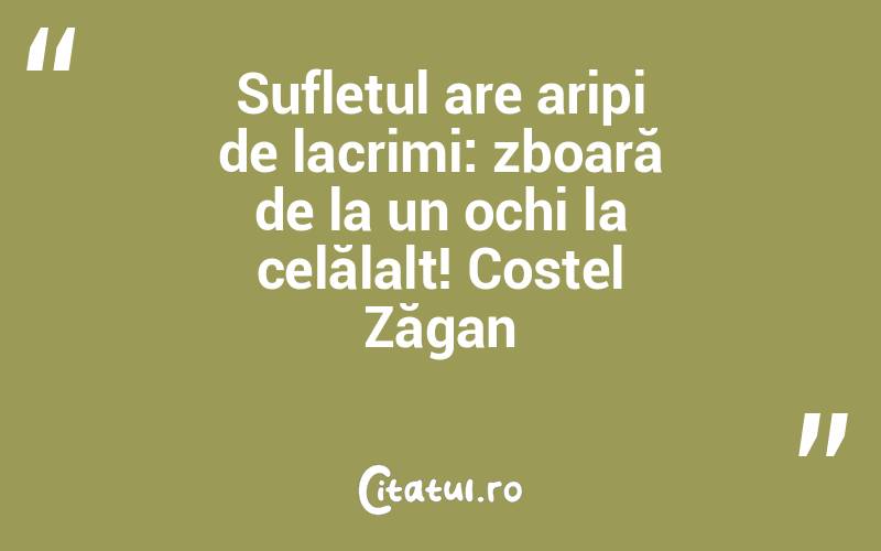 Sufletul are aripi de lacrimi: zboară de la un ochi la celălalt! Costel Zăgan
