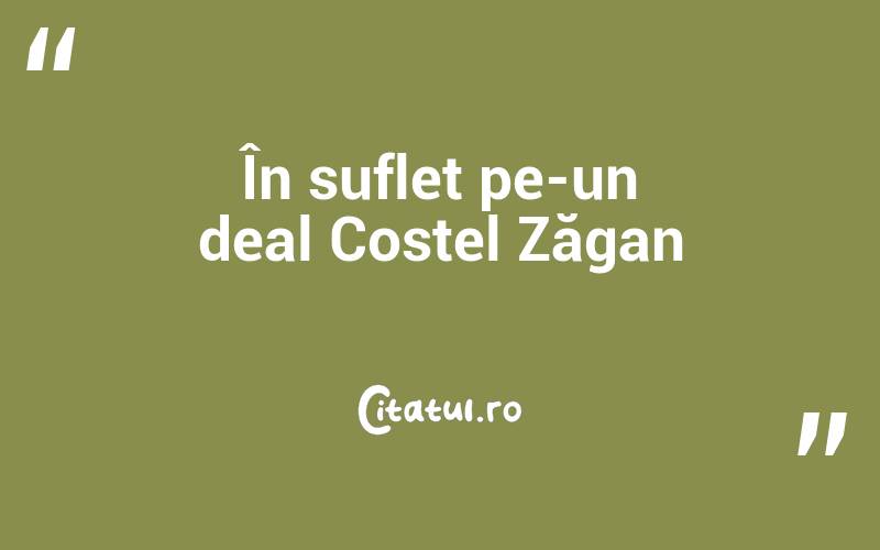 În suflet pe-un deal Costel Zăgan
