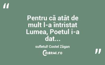  Pentru că atât de mult l-a întristat Lumea, Poetul i-a dat... sufletul! Costel Zăgan...