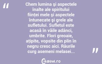 Chem lumina şi aspectele înalte ale spiritului fiinţei mele şi aspectele întunecate şi grele ale sufletului. Sufletul este acasă în văile adânci, umbrite. Flori greoaie, aţipite, vopsite din plin în negru cresc aici. Râurile curg asemeni melasei... ...