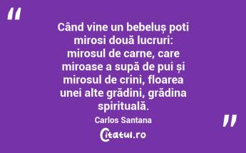 Când vine un bebeluș poți mirosi două lucruri: mirosul de carne, care miroase a supă de pui și mirosul de crini, floarea unei alte grădini, grădina spirituală. Carlos Santana...