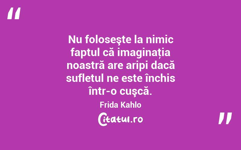 Nu foloseşte la nimic faptul că imaginaţia noastră are aripi dacă sufletul ne este închis într-o cuşcă. Frida Kahlo
