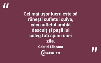 Cel mai uşor lucru este să răneşti sufletul cuiva, căci sufletul umblă desculţ şi paşii lui culeg toţi spinii unei zile. Gabriel Liiceanu...