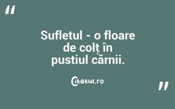 Sufletul - o floare de colţ în pustiul cărnii. ...