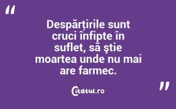 Despărţirile sunt cruci înfipte în suflet, să ştie moartea unde nu mai are farmec. ...