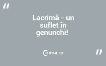 Lacrimă - un suflet în genunchi! ...