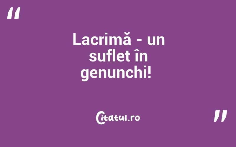 Lacrimă - un suflet în genunchi! 
