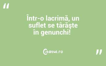 Într-o lacrimă, un suflet se târăşte în genunchi! ...