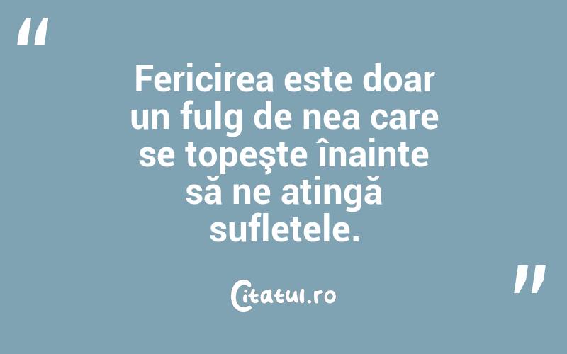 Fericirea este doar un fulg de nea care se topeşte înainte să ne atingă sufletele. 
