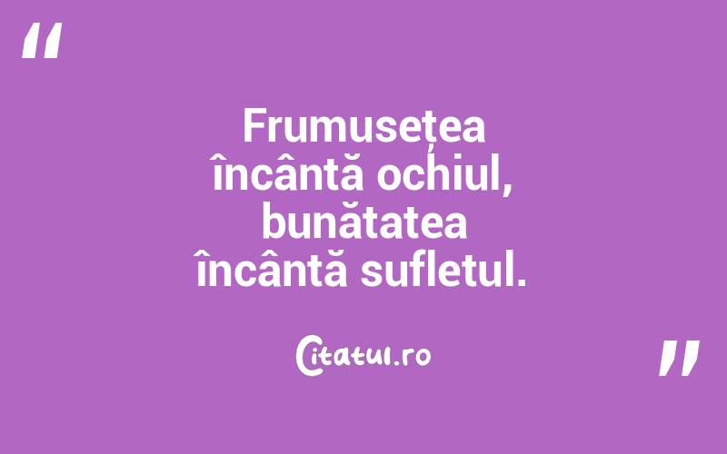 Frumuseţea încântă ochiul, bunătatea încântă sufletul. 
