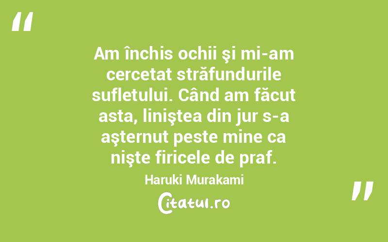Am închis ochii şi mi-am cercetat străfundurile sufletului. Când am făcut asta, liniştea din jur s-a aşternut peste mine ca nişte firicele de praf. Haruki Murakami
