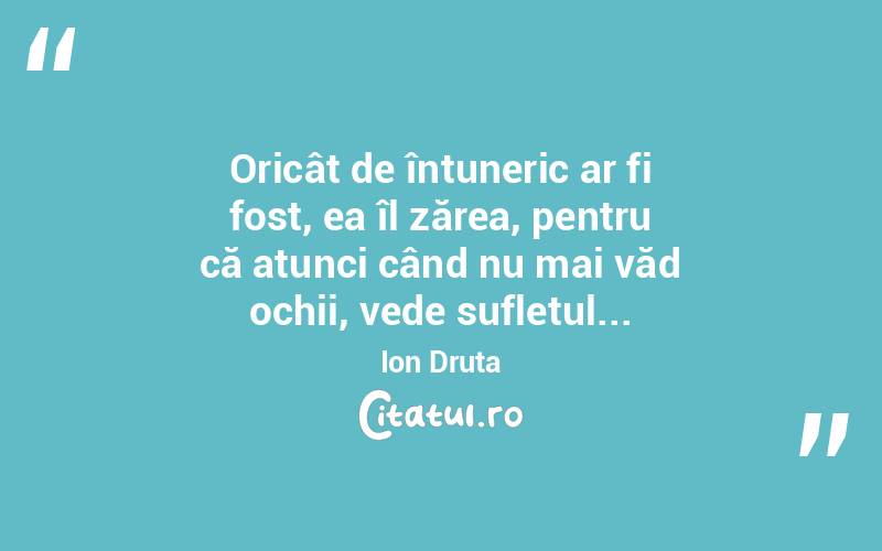  Oricât de întuneric ar fi fost, ea îl zărea, pentru că atunci când nu mai văd ochii, vede sufletul... Ion Druta
