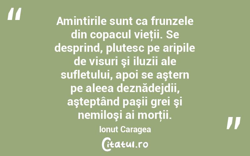 Amintirile sunt ca frunzele din copacul vieţii. Se desprind, plutesc pe aripile de visuri şi iluzii ale sufletului, apoi se aştern pe aleea deznădejdii, aşteptând paşii grei şi nemiloşi ai morţii. Ionuț Caragea
