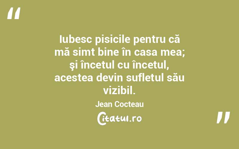 Iubesc pisicile pentru că mă simt bine în casa mea; şi încetul cu încetul, acestea devin sufletul său vizibil. Jean Cocteau
