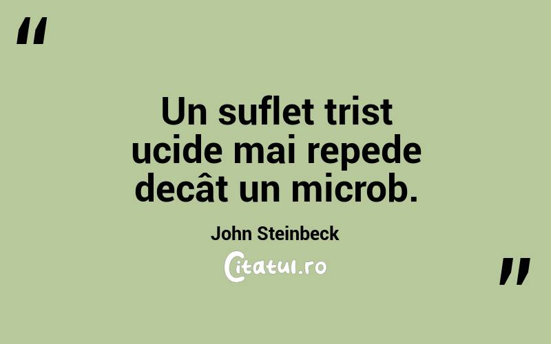  Un suflet trist ucide mai repede decât un microb. John Steinbeck
