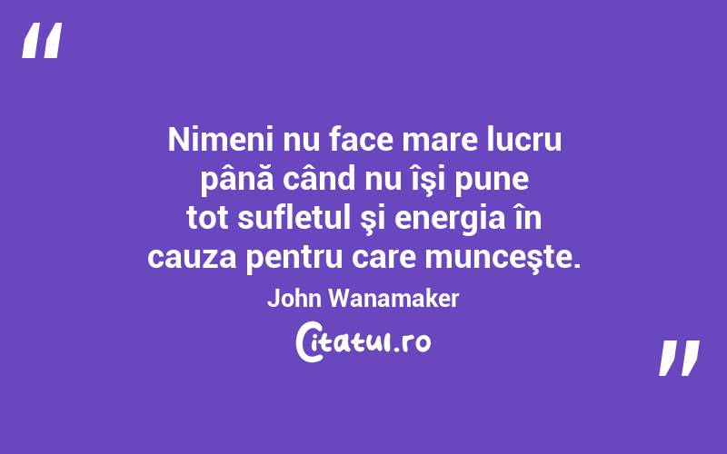Nimeni nu face mare lucru până când nu îşi pune tot sufletul şi energia în cauza pentru care munceşte. John Wanamaker
