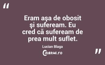   Eram aşa de obosit şi sufeream. Eu cred că sufeream de prea mult suflet. Lucian Blaga...