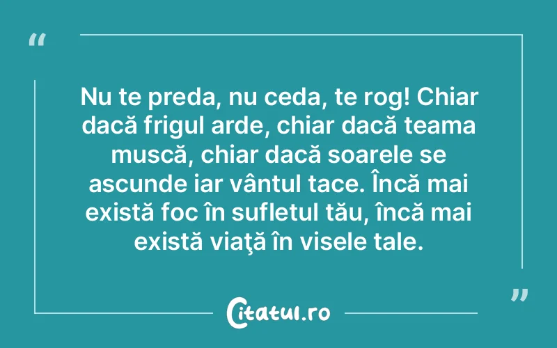 Nu te preda, nu ceda, te rog! Chiar dacă frigul arde, chiar dacă teama muscă, chiar dacă soarele se ascunde iar vântul tace. Încă mai există foc în sufletul tău, încă mai există viaţă în visele tale.