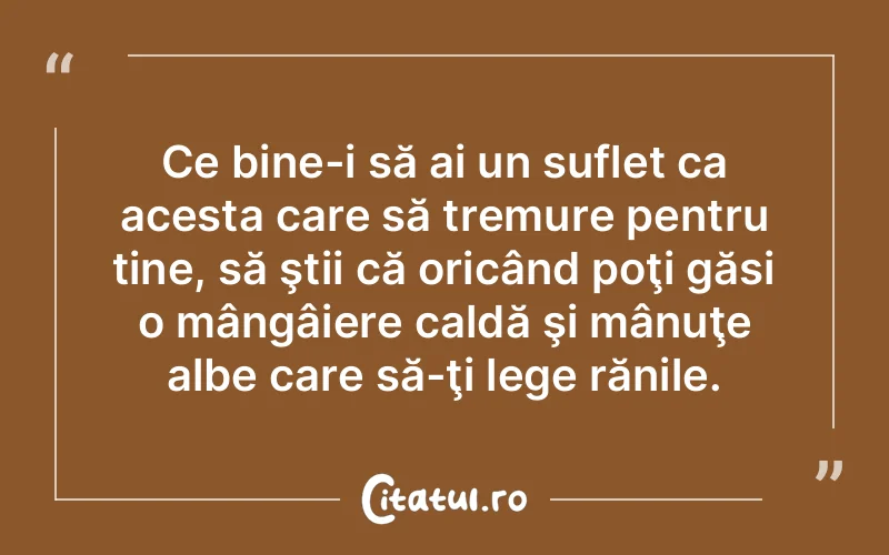 Ce bine-i să ai un suflet ca acesta care să tremure pentru tine, să ştii că oricând poţi găsi o mângâiere caldă şi mânuţe albe care să-ţi lege rănile.