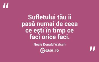 Sufletului tău îi pasă numai de ceea ce eşti în timp ce faci orice faci. Neale Donald Walsch...