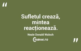 Sufletul crează, mintea reacţionează. Neale Donald Walsch...