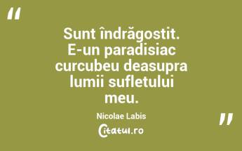  Sunt îndrăgostit. E-un paradisiac curcubeu deasupra lumii sufletului meu. Nicolae Labis...