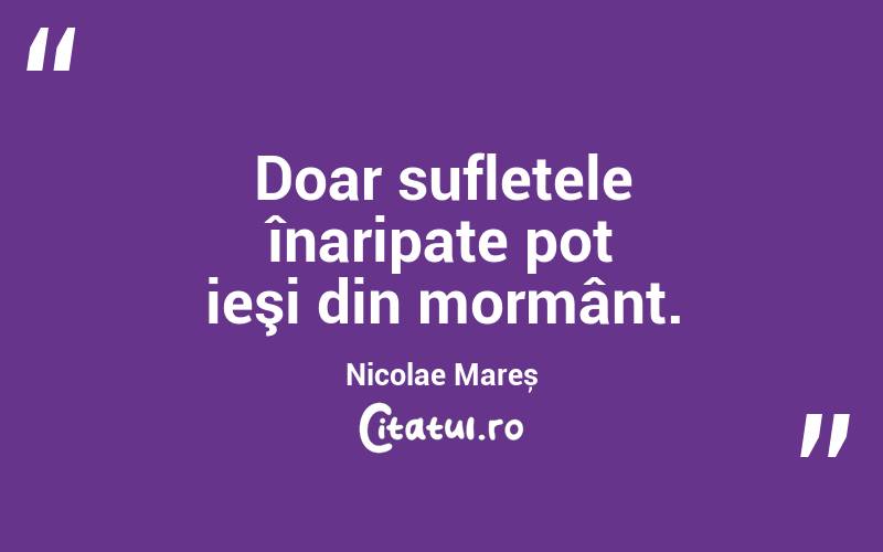 Doar sufletele înaripate pot ieşi din mormânt. Nicolae Mareș
