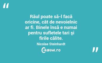 Răul poate să-l facă oricine, cât de nevoielnic ar fi. Binele însă e numai pentru sufletele tari şi firile călite. Nicolae Steinhardt...