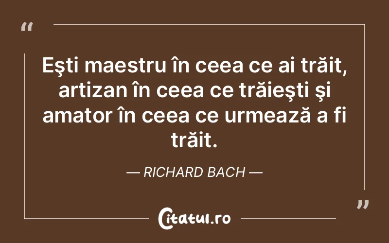 Eşti maestru în ceea ce ai trăit, artizan în ceea ce trăieşti şi amator în ceea ce urmează a fi trăit. Richard Bach