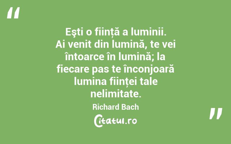 Eşti o fiinţă a luminii. Ai venit din lumină, te vei întoarce în lumină; la fiecare pas te înconjoară lumina fiinţei tale nelimitate. Richard Bach
