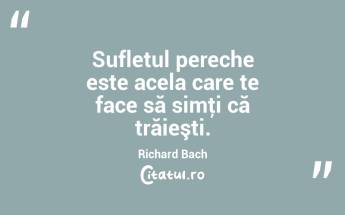Sufletul pereche este acela care te face să simţi că trăieşti. Richard Bach...