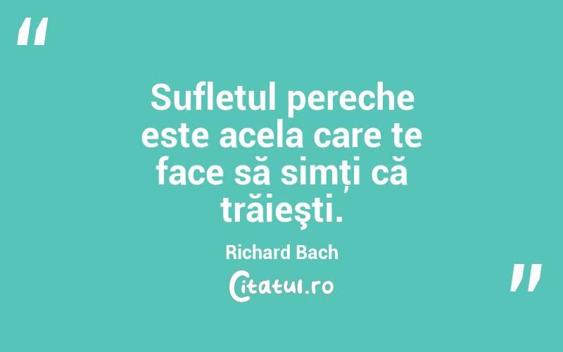 Sufletul pereche este acela care te face să simţi că trăieşti. Richard Bach
