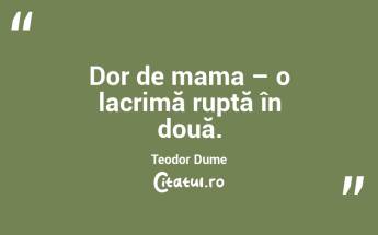 Dor de mama – o lacrimă ruptă în două. Teodor Dume...