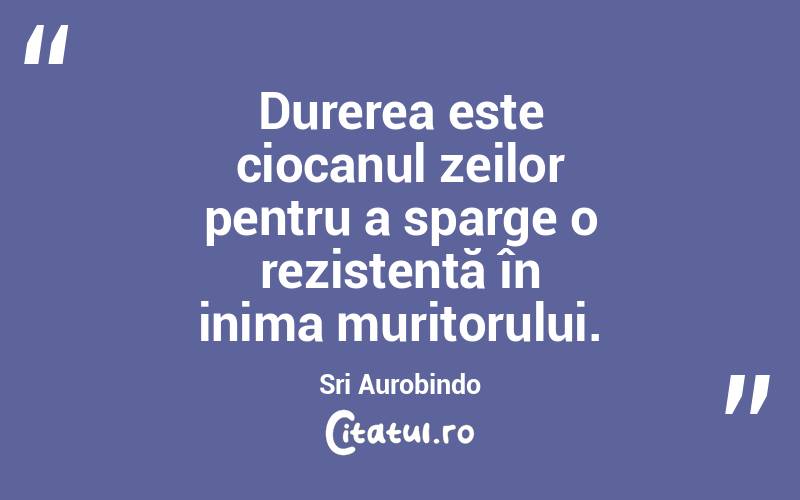 Durerea este ciocanul zeilor pentru a sparge o rezistență în inima muritorului. Sri Aurobindo
